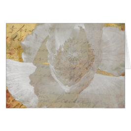 Poppy Sepia Tillfällen Blank Inside Hälsning Hälsningskort