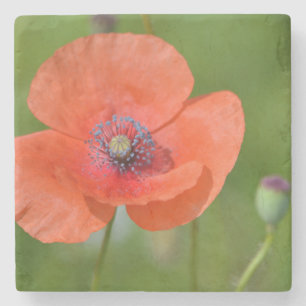 Poppy Stone Underlägg Sten