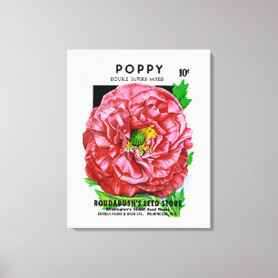 Poppy Vintage Seed Packet Canvastryck