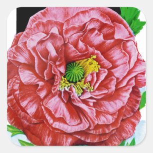Poppy Vintage Seed Packet Fyrkantigt Klistermärke