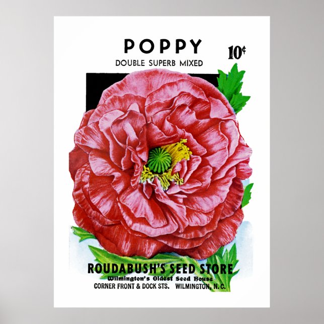 Poppy Vintage Seed Packet Poster (Framsidan)