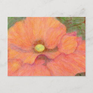 Poppy, vykort