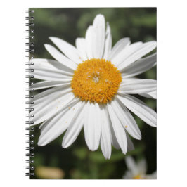 populär blomma, vacker vild vit tusensköna fotogra anteckningsbok