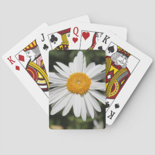 populär blomma, vit daisy av söt vild casinokort