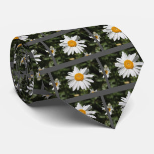 populär blomma, vit daisy av söt vild slips
