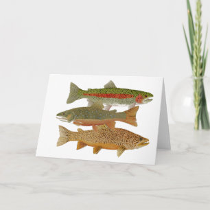 Populär forell kort