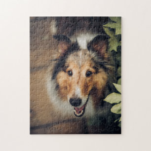 Popular Hund design Gift Pussel