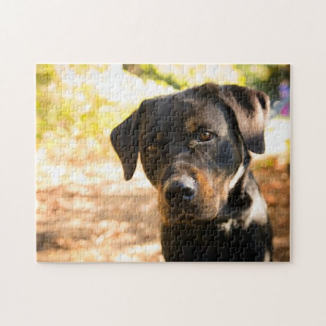 Popular Hund design Gift Pussel (Horisontell)