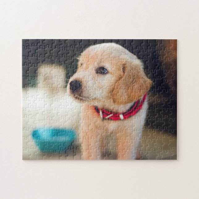 Popular Hund design Gift Pussel (Horisontell)