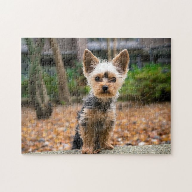 Popular Hund design Gift Pussel (Horisontell)