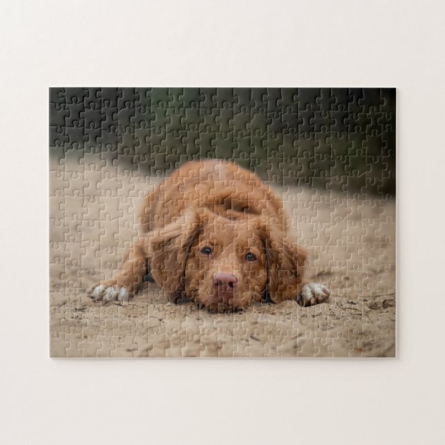 Popular Hund design Gift Pussel (Horisontell)