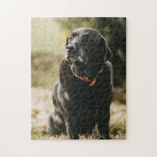 Popular Hund design Gift Pussel