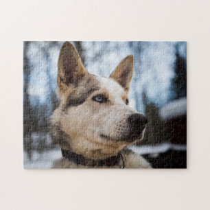 Popular Hund design Gift Pussel