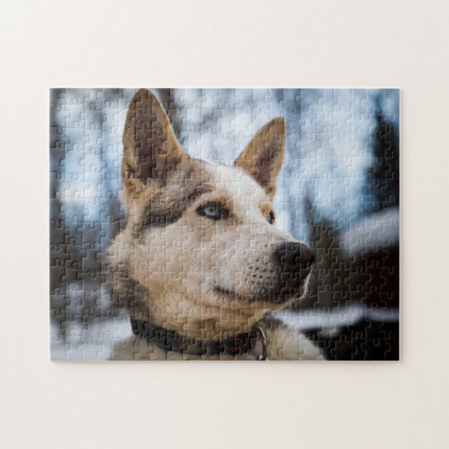 Popular Hund design Gift Pussel (Horisontell)