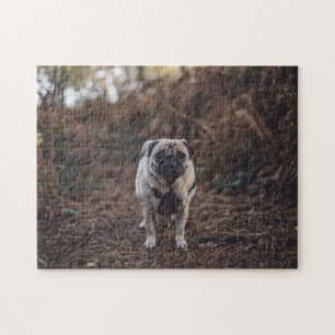 Popular Hund design Gift Pussel