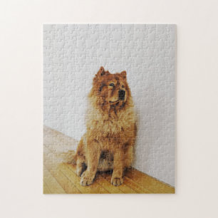 Popular Hund design Gift Pussel