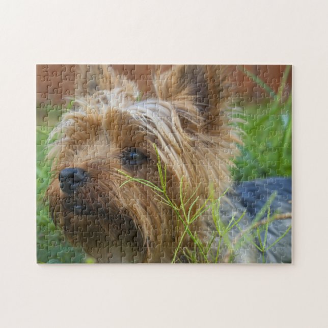 Popular Hund design Gift Pussel (Horisontell)