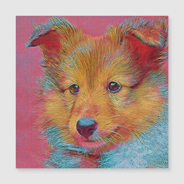 populära djur - valp (Framsida)