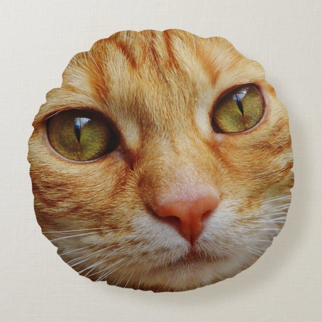 POPULL BIG CAT ANSIKTE PILLOWS, ORANGE TABBY RUND KUDDE (Framsidan)