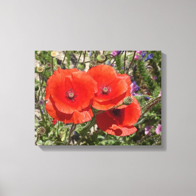 POPY FLOWERS CANVASTRYCK (Framsida)