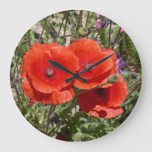 POPY FLOWERS STOR KLOCKA