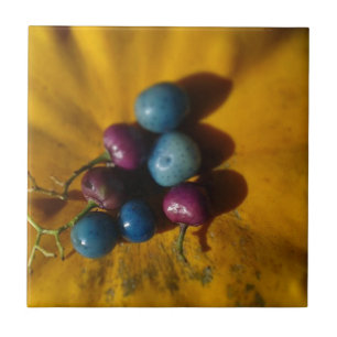 Porcelain Berries och Pumpkin Kakelplatta