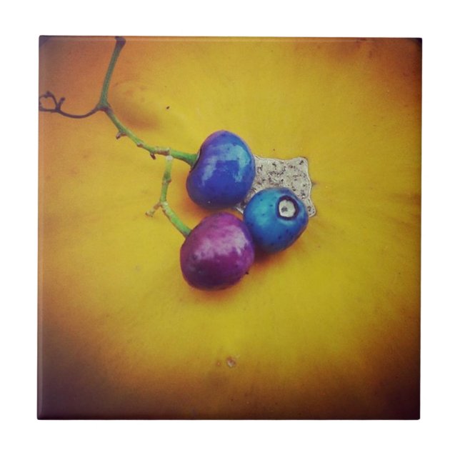 Porcelain Berries på en pumpa Kakelplatta (Framsidan)