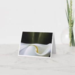 Porcelain Calla Note-kort Tack Kort