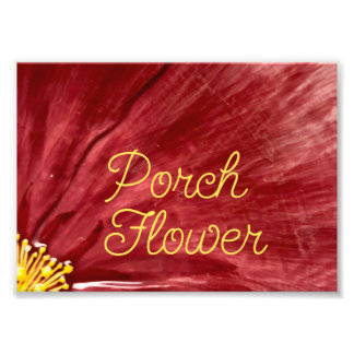 Porch Flower / Original / Fototryck