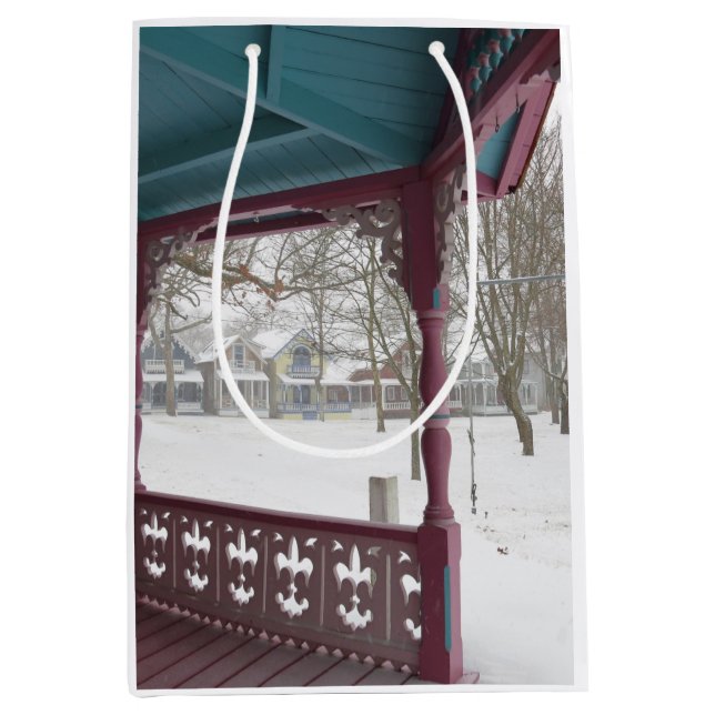 Porch View on a Snowy Day - Martha's Vineyard (Framsidan)