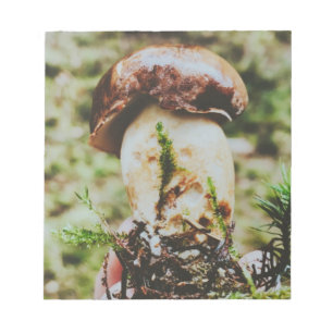 Porcini Mushroom in Swedish Forest Anteckningsblock