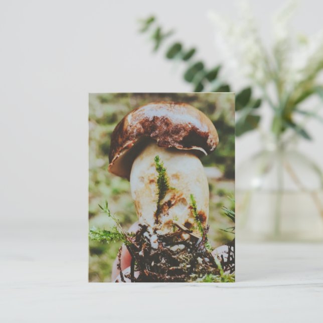 Porcini Mushroom in Swedish Forest OSA Kort (Stående Fram)