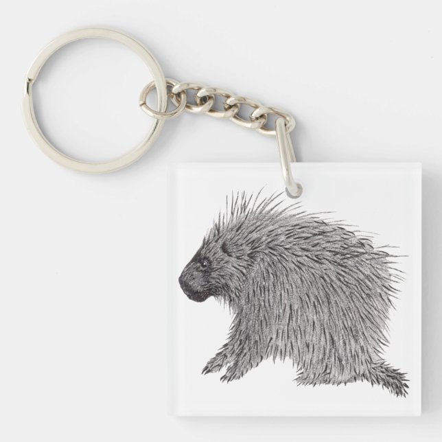 Porcupin (Framsidan)