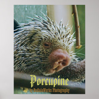 Porcupin 2 Poster