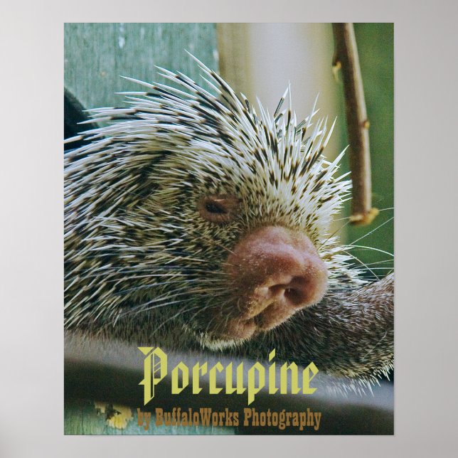 Porcupin 2 Poster (Framsidan)