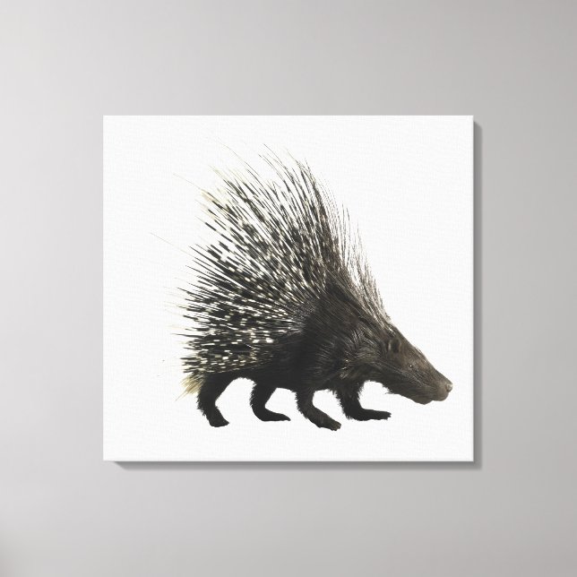 Porcupin Canvastryck (Framsida)