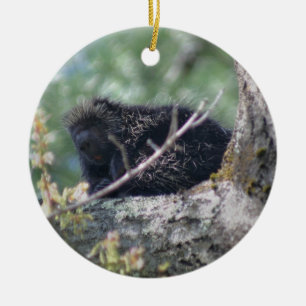 Porcupin i Träd Julgransprydnad Keramik