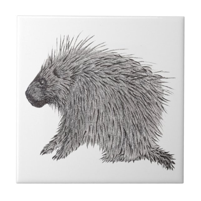 Porcupin Kakelplatta (Framsidan)