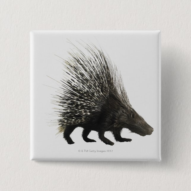 Porcupin Knapp (Framsida)