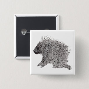 Porcupin Knapp