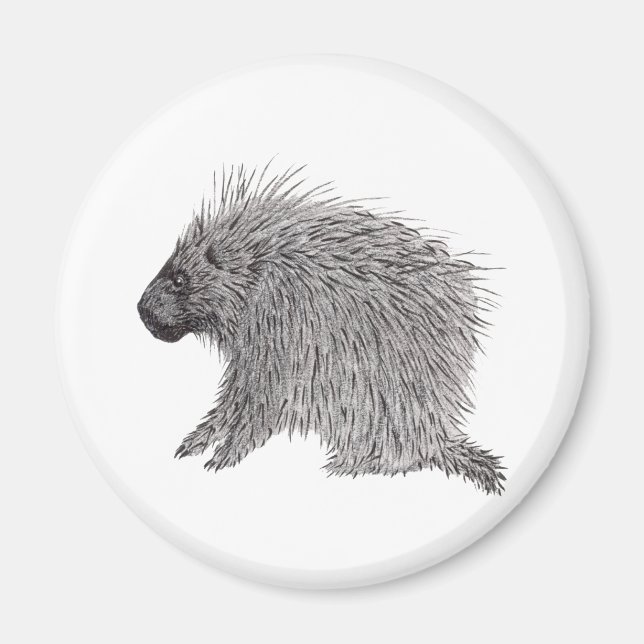 Porcupin Magnet (Framsidan)