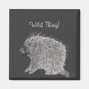 Porcupin Magnet