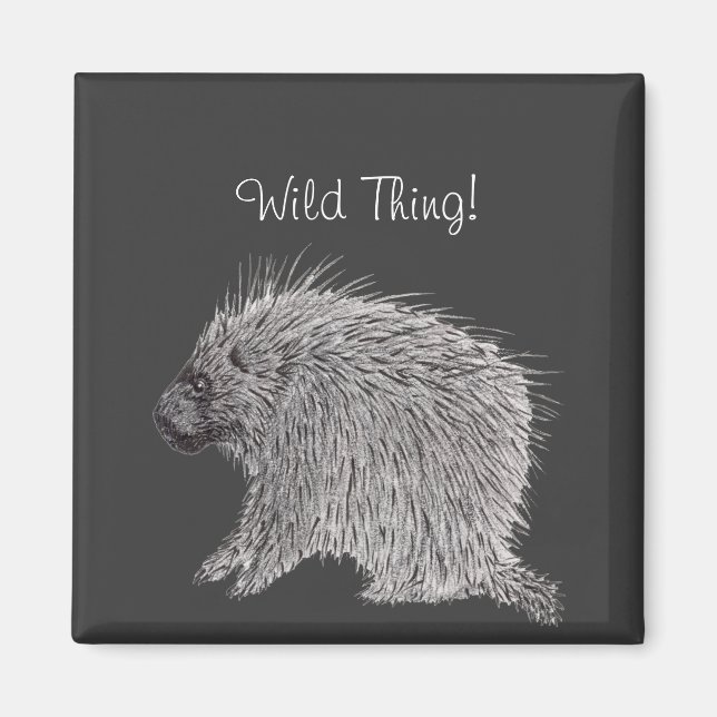 Porcupin Magnet (Framsidan)