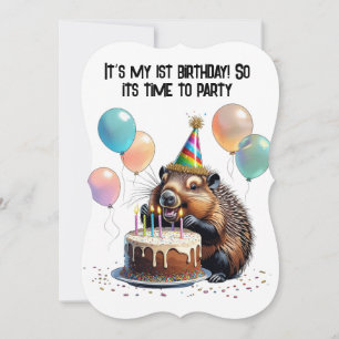 Porcupin med födelsedagskalas och ballonger födels