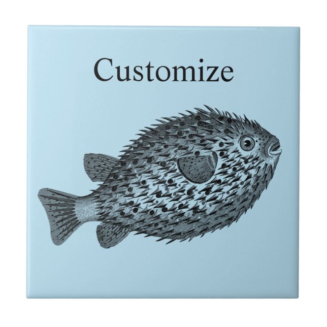 Porcupine blowfish Thunder_Cove Kakelplatta (Framsidan)