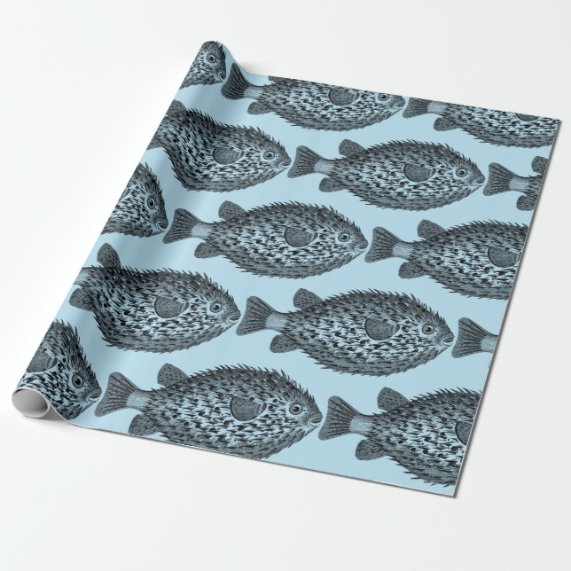 Porcupine blowfish Thunder_Cove Presentpapper (Utrullad)