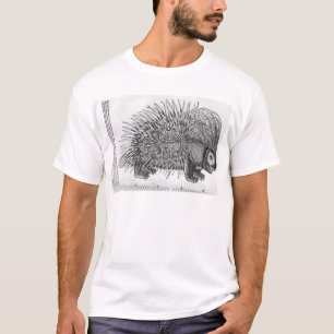 Porcupine från 'Historia Animalium Tröja