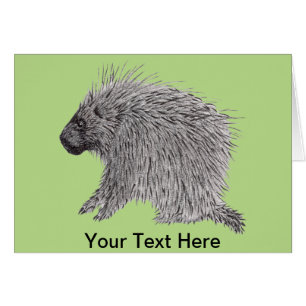 Porcupine Greeting Card Hälsningskort
