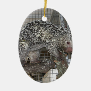 Porcupine Julgransprydnad Keramik