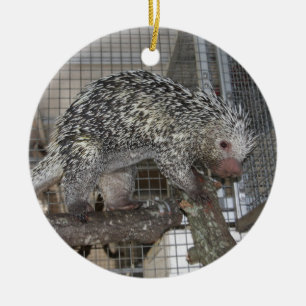 Porcupine Julgransprydnad Keramik